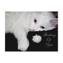 Thinking of You.. postcards