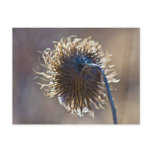 Thinking of you postcards