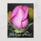 Thinking of You! Postcard