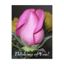 Thinking of You! Postcard by bkang22 Thinking of You! Postcard
