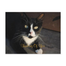 Thinking Of You Postcard