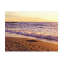 Thinking of You_Postcard by ELENNE Thinking of You_Postcard