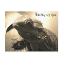 Thinking of You Postcard