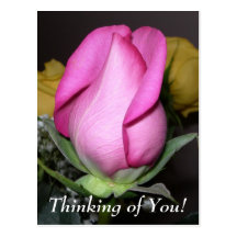 Thinking of You! Postcard