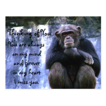 Thinking of You_ Postcard