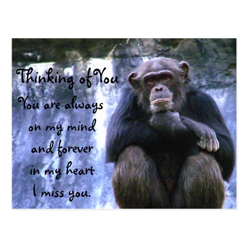 Thinking of You_ Postcard