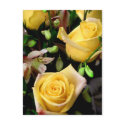 Thinking of You_ Postcard_by Elenne Boothe by ELENNE Thinking of You_ Postcard_by Elenne Boothe