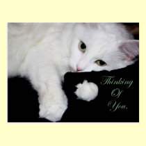 Thinking of You.. postcards