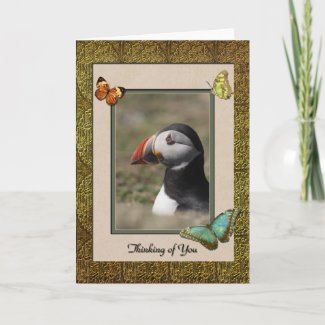Thinking Of You Puffin Card card