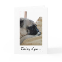 Thinking of You Pug Greeting Card