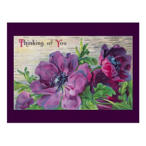 Thinking of You Purple Flowers Postcard Zazzle