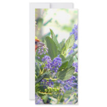 Thinking of You_ Full Color Rack Card