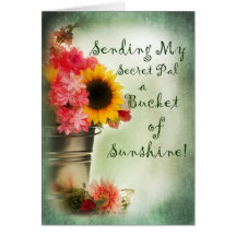 Thinking of You Secret Pal - sunshine Greeting Cards