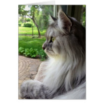 Thinking of You (Siberian Style) Greeting Cards