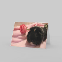 Thinking of You (Spicy) cards