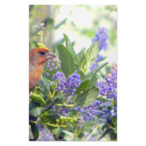 Thinking of You_ stationery by zazzlegirboy09 Thinking of You_ stationery