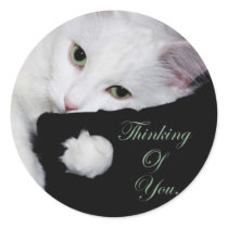 Thinking of You.. stickers