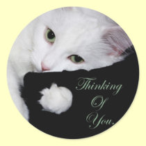 Thinking of You.. stickers