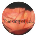 Thinking of you sticker