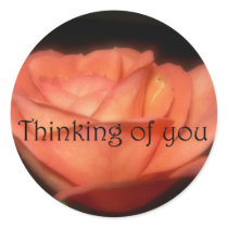 Thinking of you sticker