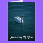 Thinking Of You Swan Card cards