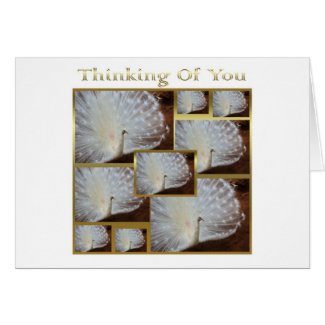 Thinking Of You Sympathy condolence In our thought Greeting Card