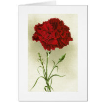 Thinking of You/Thank You Card