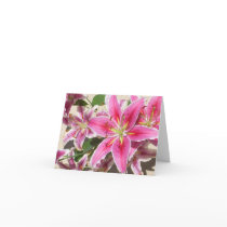 Thinking of You Tiger Lily Cards cards
