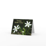 Thinking Of You Today! - Blank Inside Cards