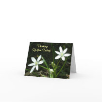 Thinking Of You Today! - Blank Inside cards by ChristineRachelle Thinking Of You Today! - Blank Inside cards