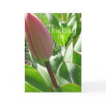 Thinking of you- Tulip card