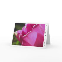 Thinking of you tulip cards