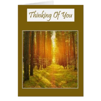Thinking of you with a sunlit pathway sympathy greeting cards