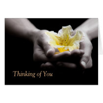 Thinking of You Yellow Flower In Hands cards