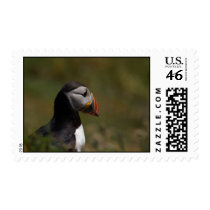 Thinking Puffin postage