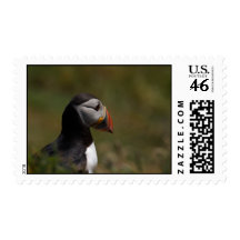 Thinking Puffin Stamp