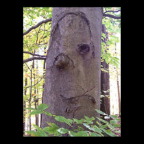 THINKING TREE posters