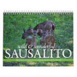 THINKSausalito 2012 Calendar