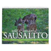 THINKSausalito 2012 Calendar