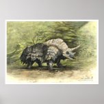 Thinodor posters