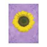 Third Chakra Gift Post Cards