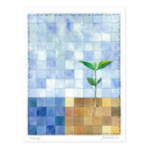 Third Day (7 days of creation) Postcard postcards