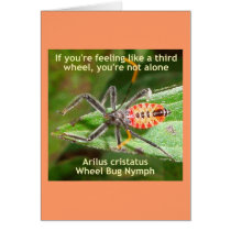 Third Wheel Bug Greeting Cards