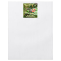 Third Wheel Bug Flyers