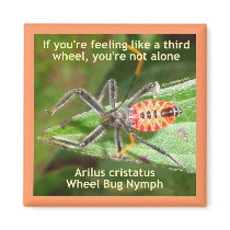 Third Wheel Bug Fridge Magnet