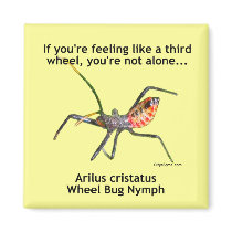 Third Wheel Bug Refrigerator Magnet