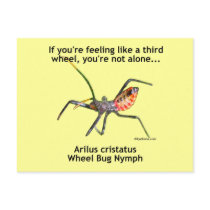 Third Wheel Bug Post Cards