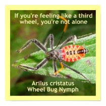 Third Wheel Bug Poster