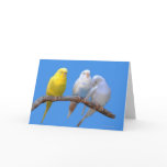 Third Wheel Card