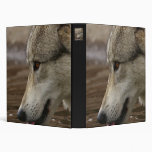 Thirsty, But Watchful Vinyl Binders